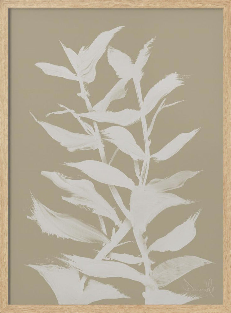Botan | Poster