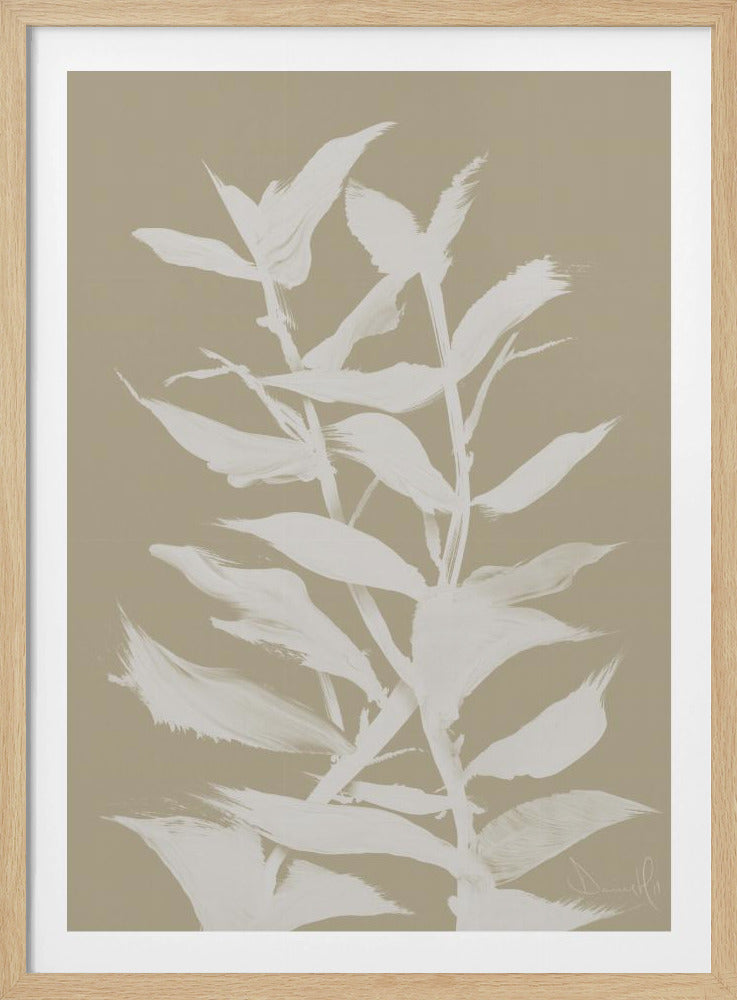 Botan | Poster