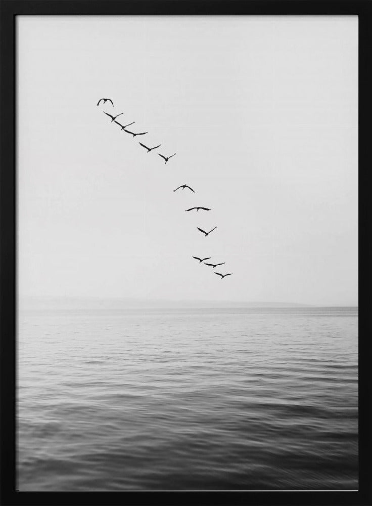 Fliegende Vögel | Poster