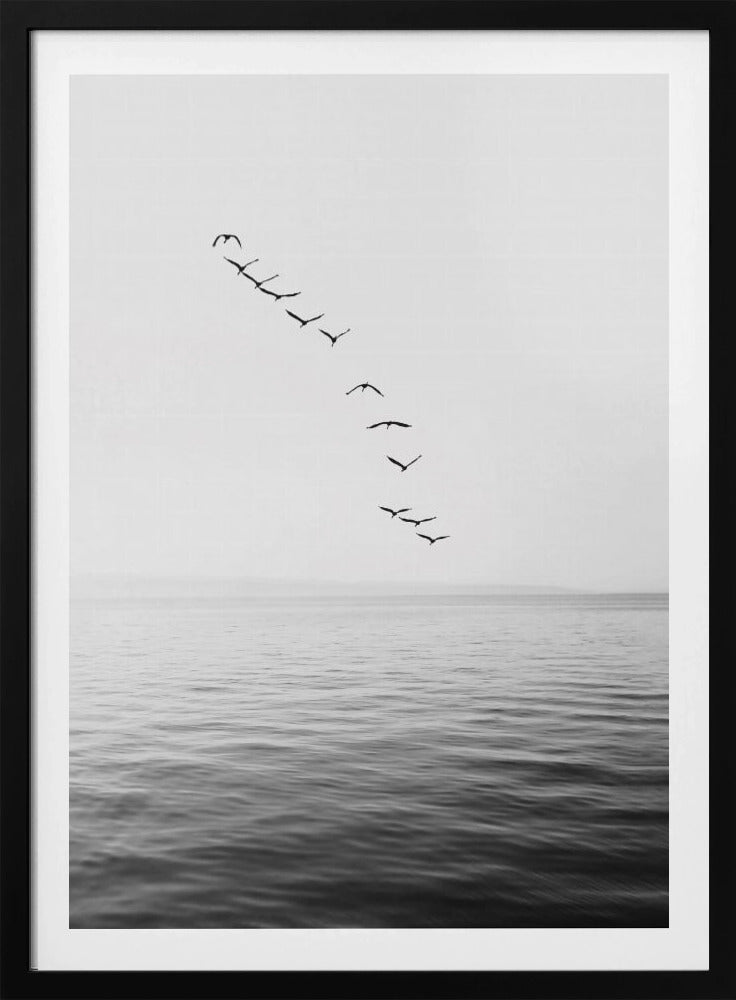 Fliegende Vögel | Poster