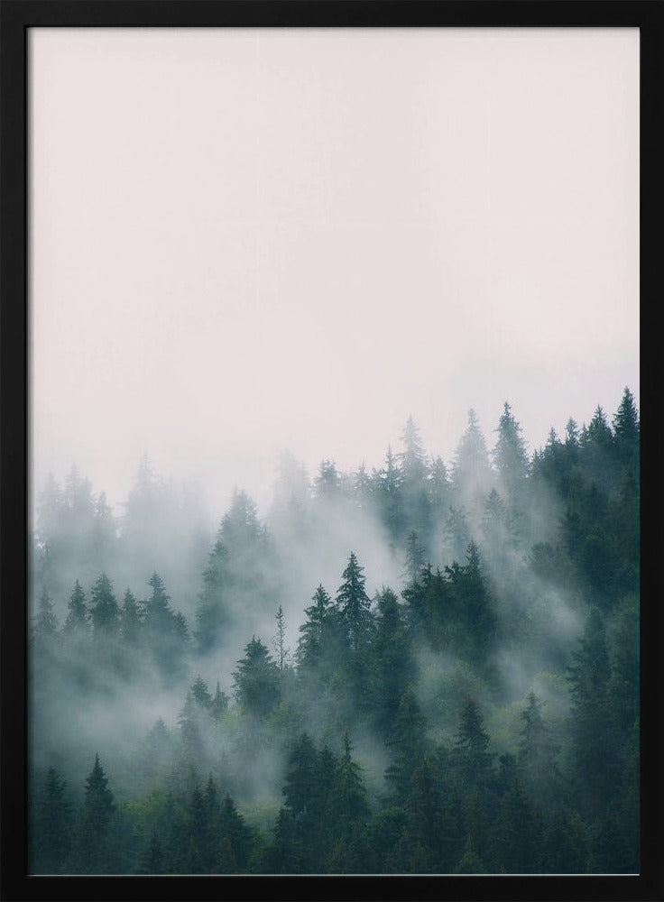 Wald | Poster