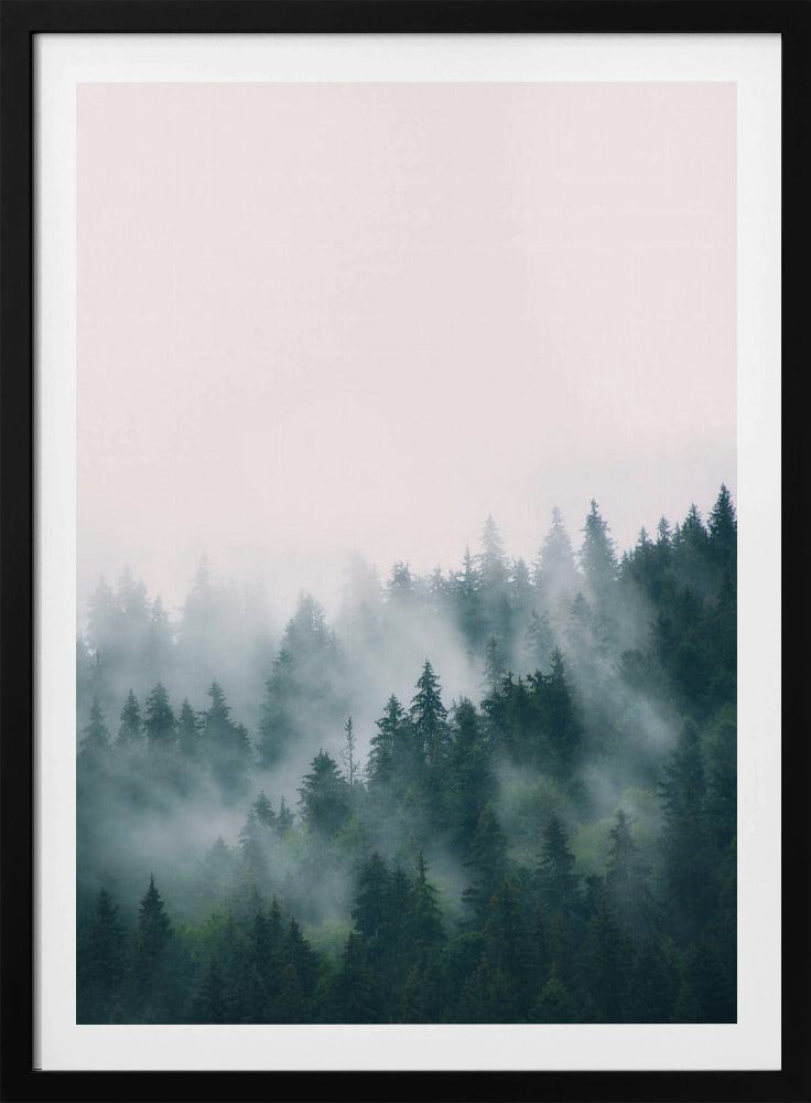 Wald | Poster