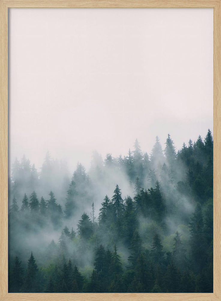 Wald | Poster