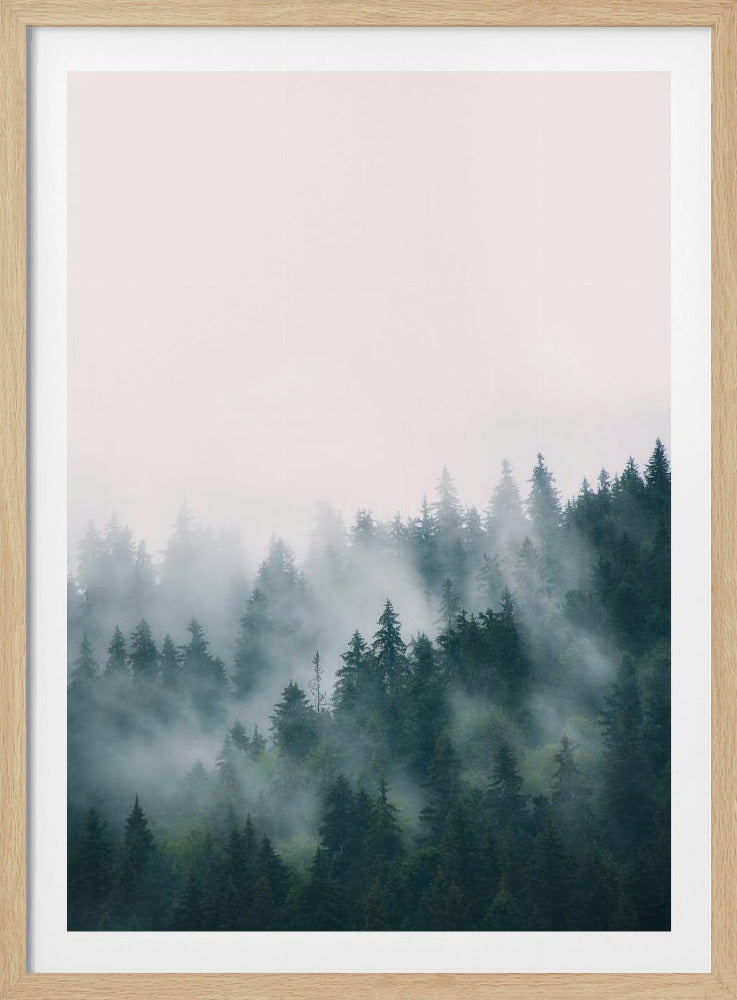 Wald | Poster