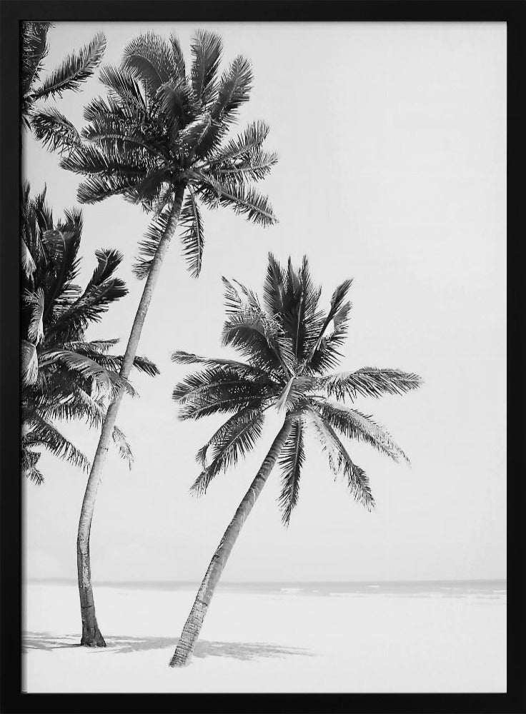 Insel | Poster