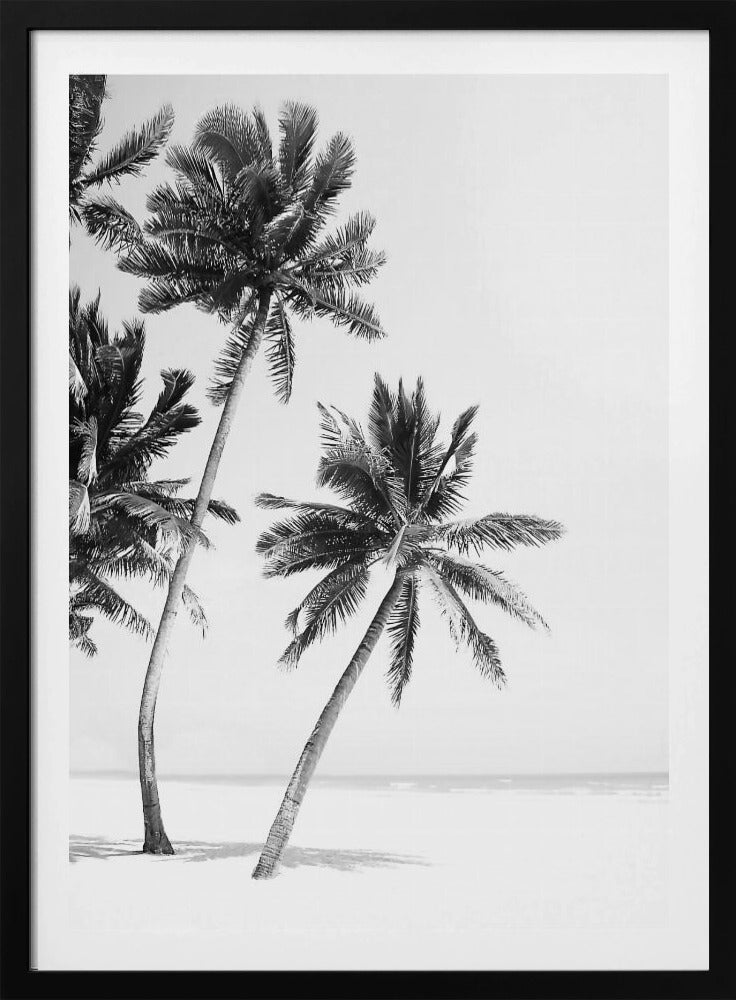 Insel | Poster