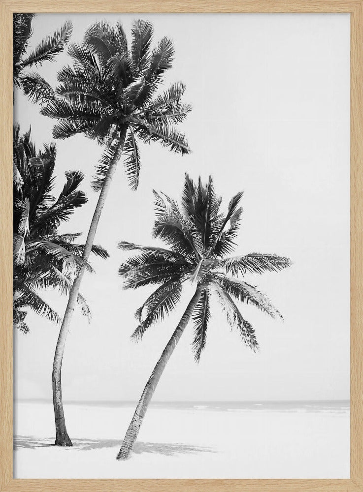 Insel | Poster