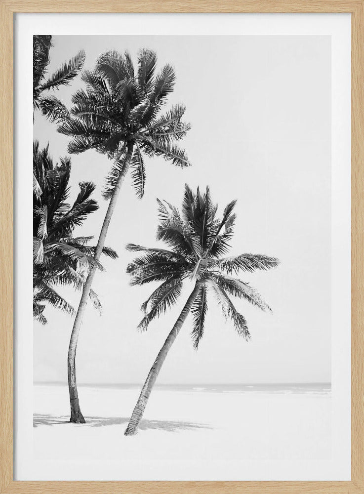 Insel | Poster