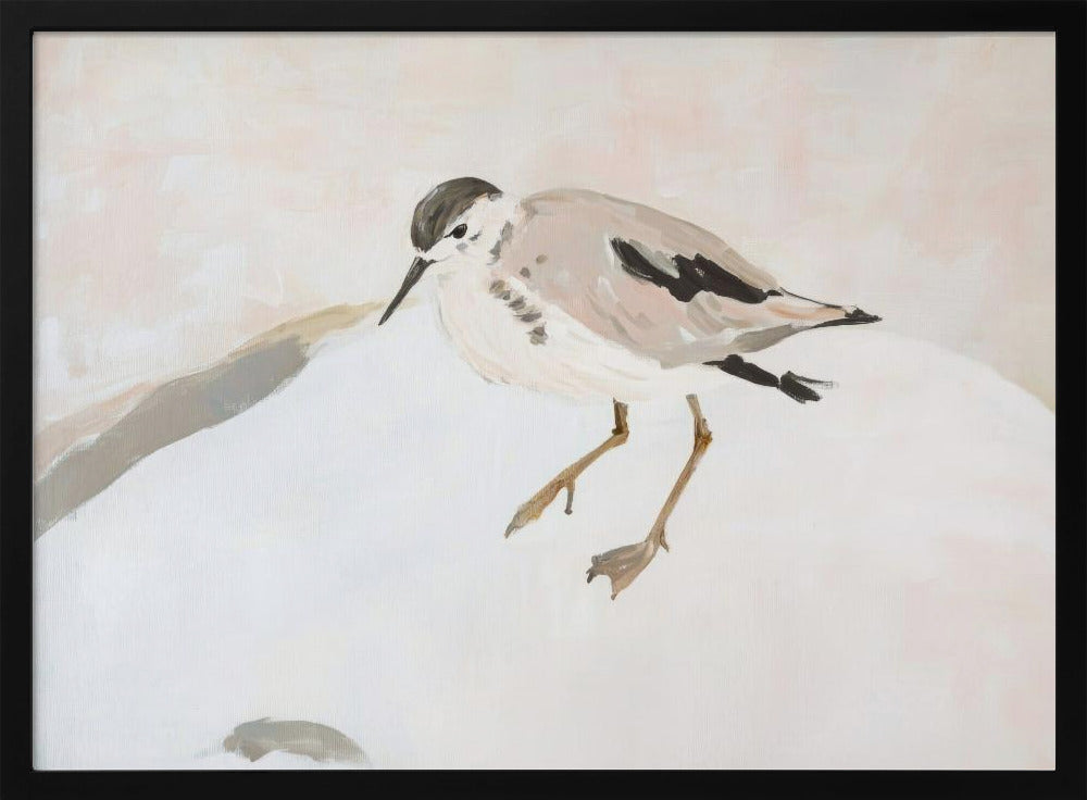 Niedlicher Watvogel | Poster