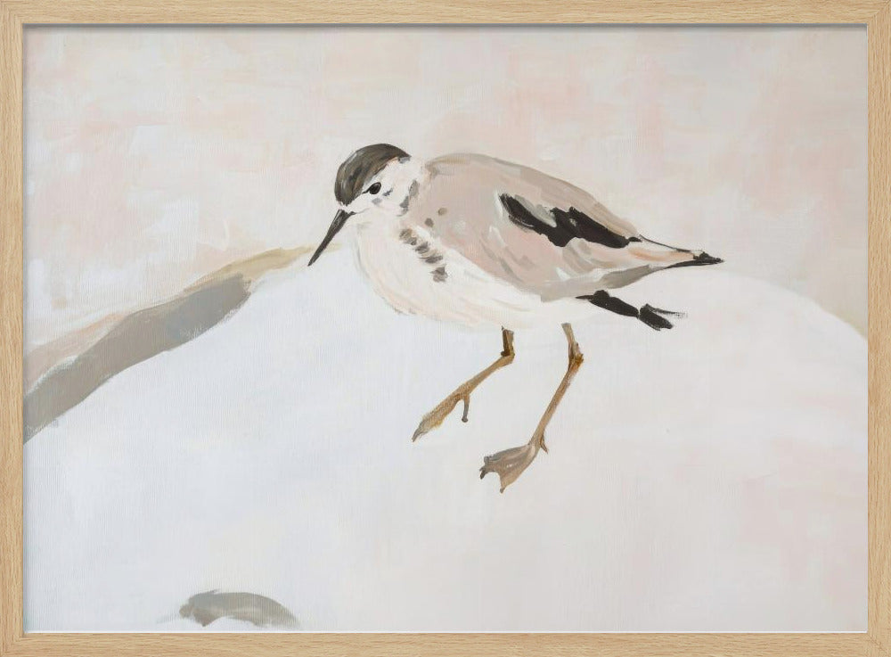 Niedlicher Watvogel | Poster