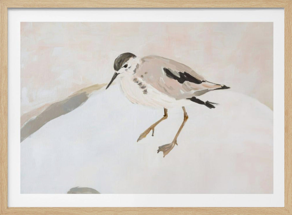 Niedlicher Watvogel | Poster
