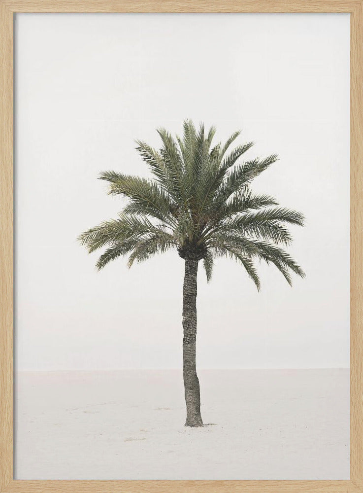 Palme | Poster