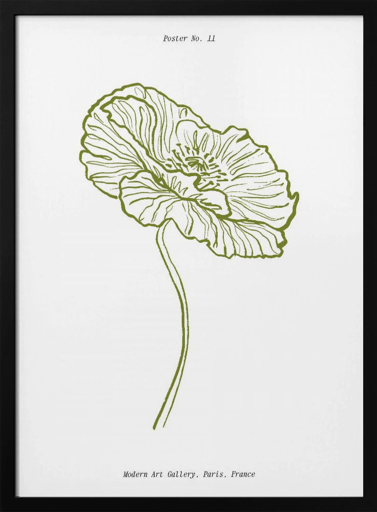 Blasser Mohn Skizze | Poster