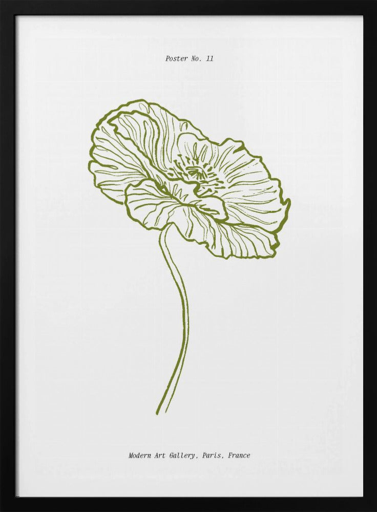 Blasser Mohn Skizze | Poster