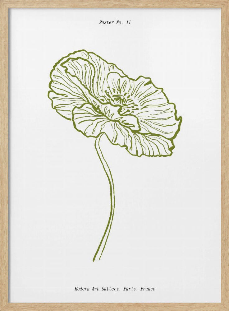 Blasser Mohn Skizze | Poster