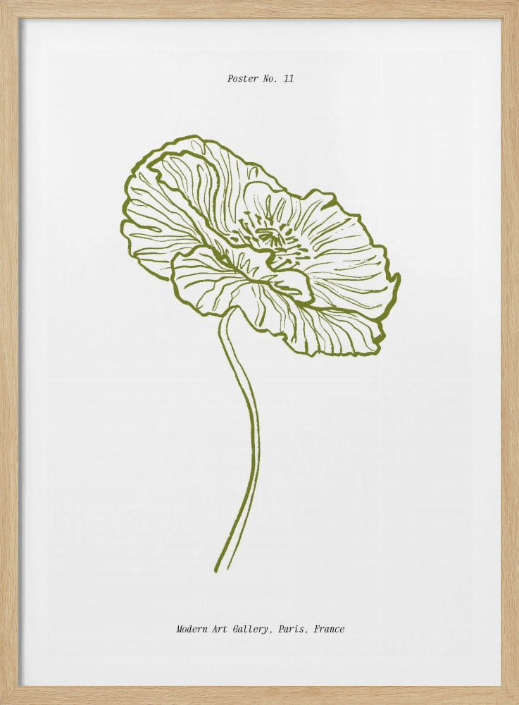 Blasser Mohn Skizze | Poster