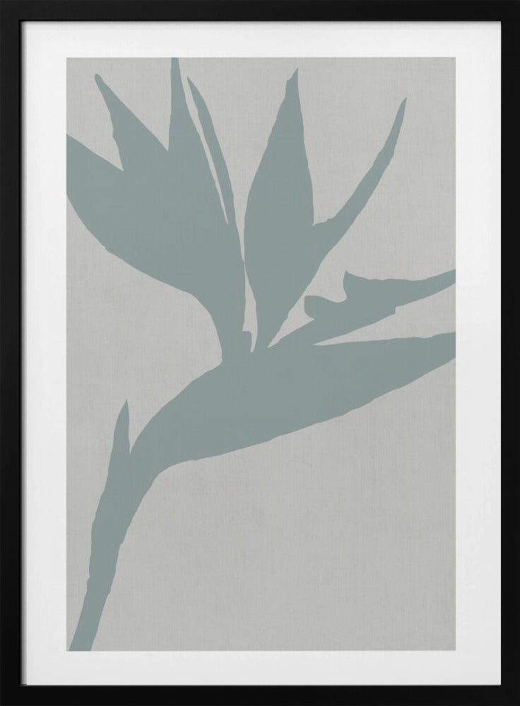 Paradiesvogel | Poster