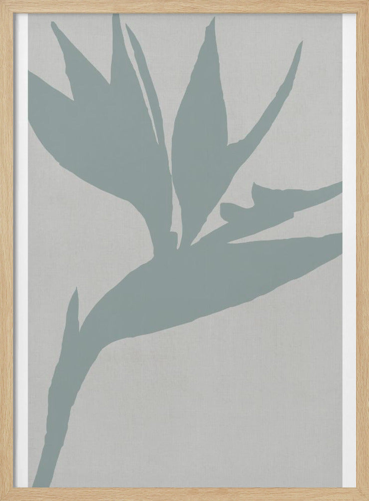 Paradiesvogel | Poster