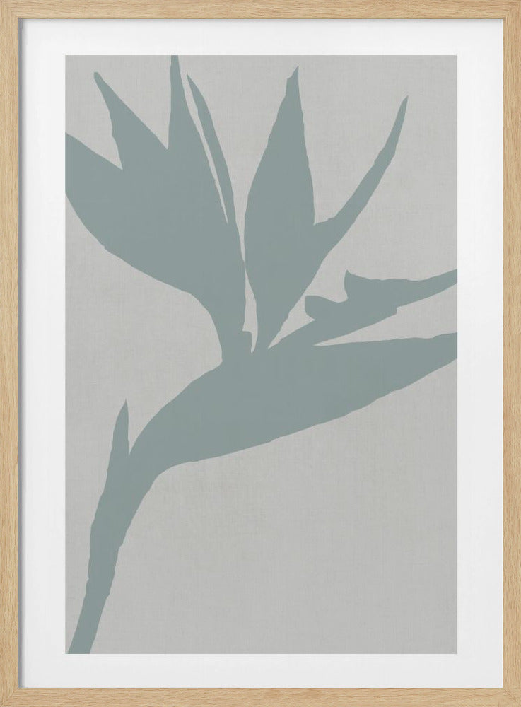 Paradiesvogel | Poster