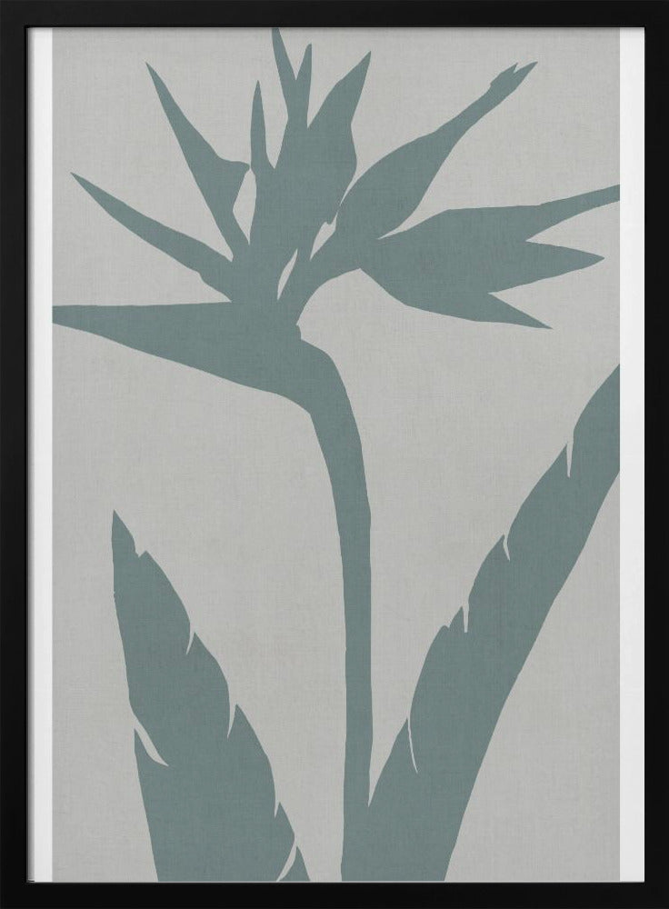 Paradiesvogel | Poster