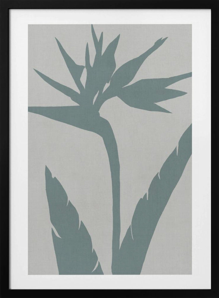 Paradiesvogel | Poster