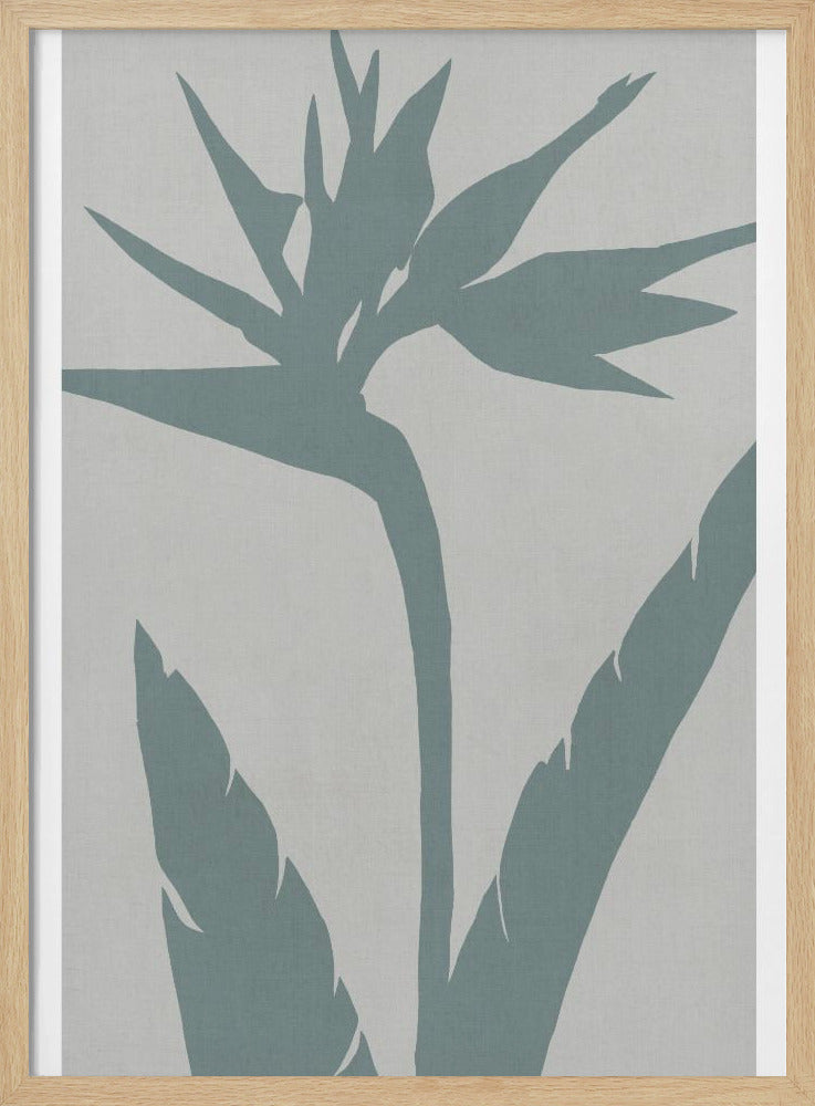 Paradiesvogel | Poster