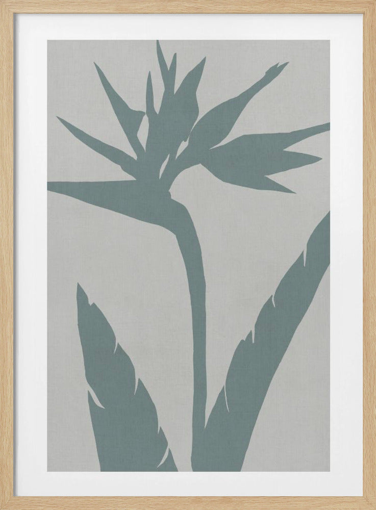Paradiesvogel | Poster