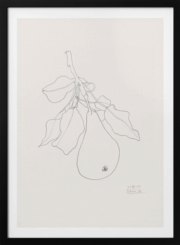 Elegante Birnenskizze | Poster