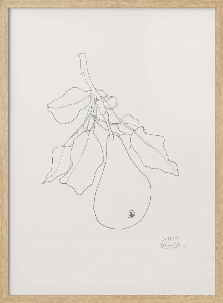 Elegante Birnenskizze | Poster