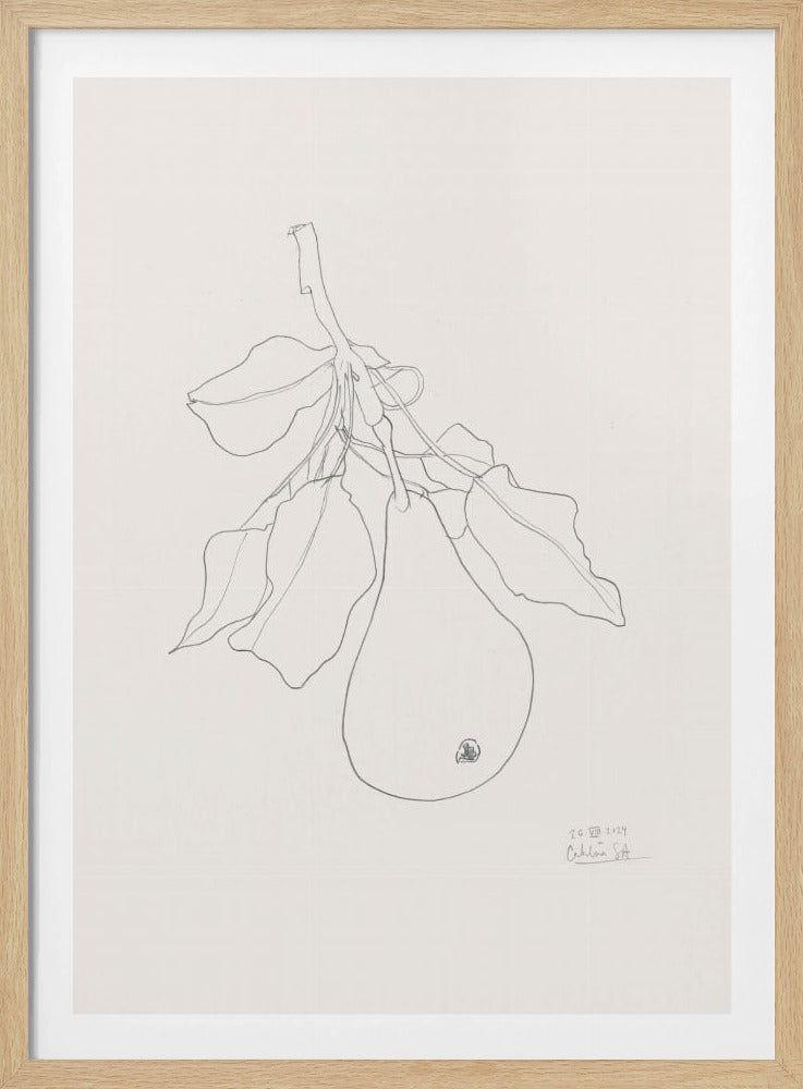 Elegante Birnenskizze | Poster
