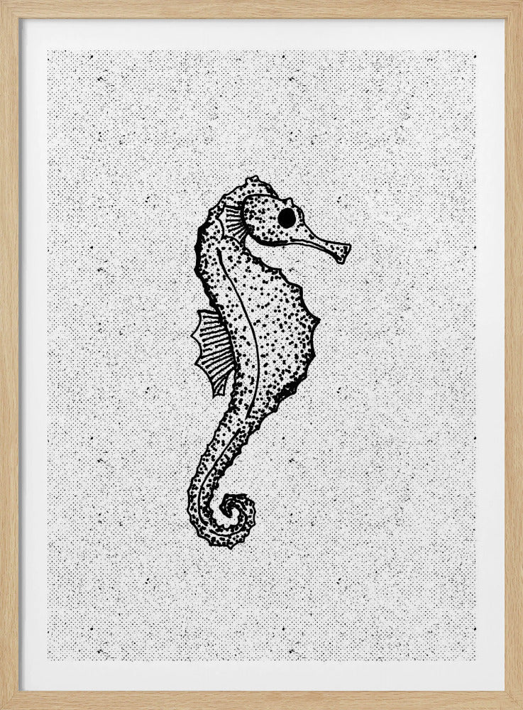 Wunderliches Seepferdchen | Poster