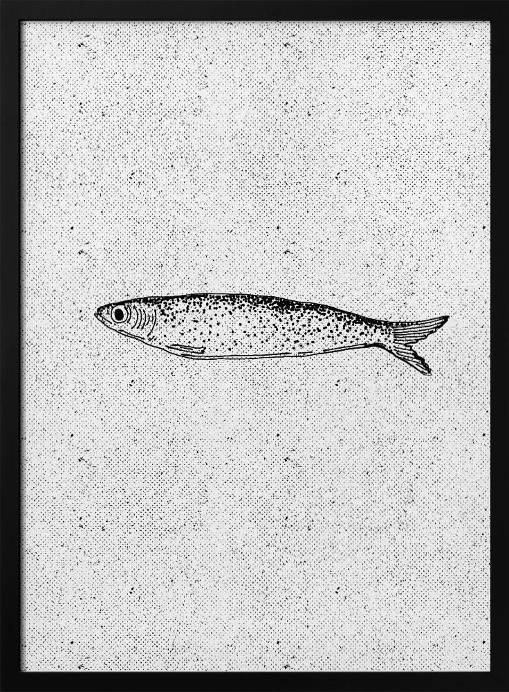 Vintage Fisch Illustration | Poster