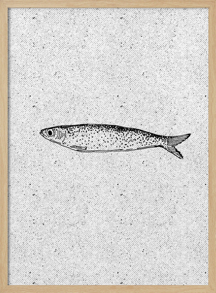 Vintage Fisch Illustration | Poster