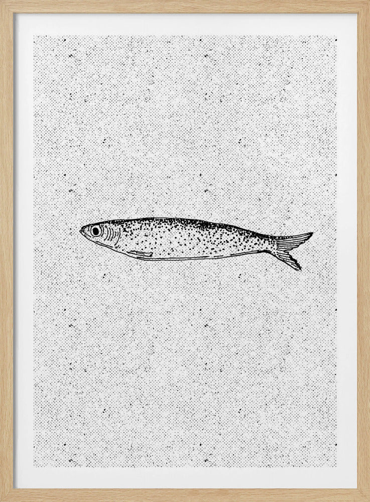Vintage Fisch Illustration | Poster