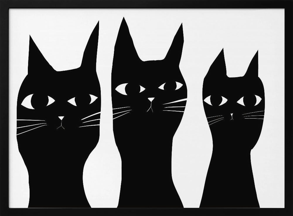 Drei schwarze Katzen spähen Katze | Poster