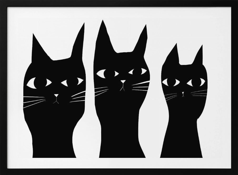 Drei schwarze Katzen spähen Katze | Poster