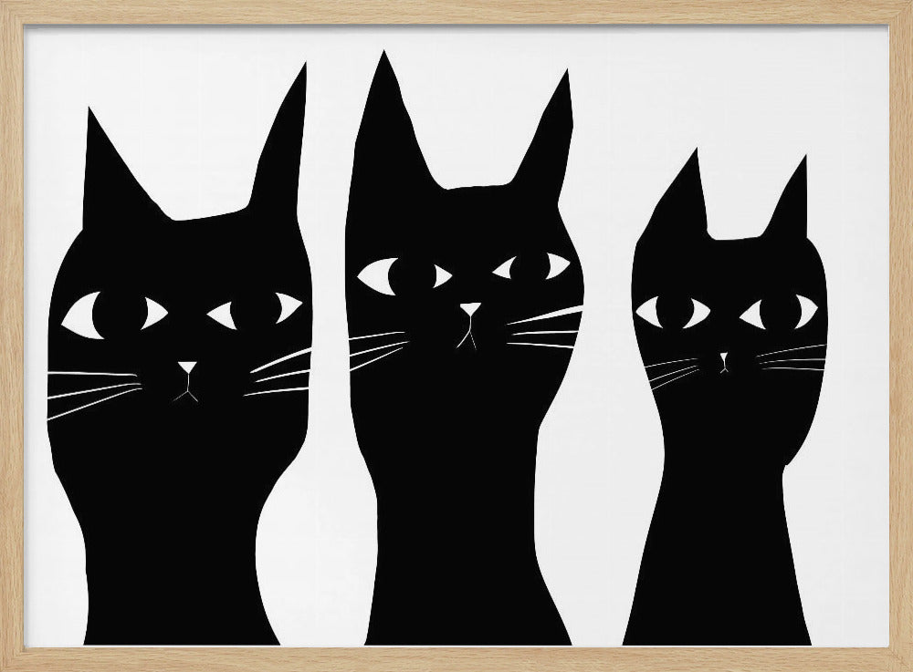 Drei schwarze Katzen spähen Katze | Poster