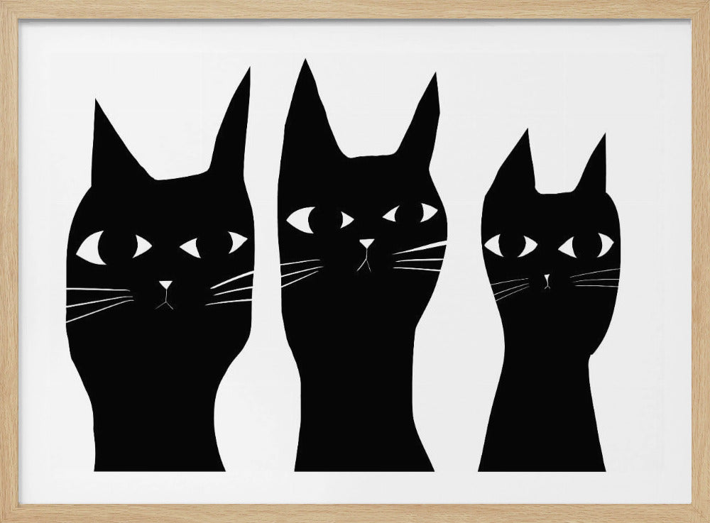 Drei schwarze Katzen spähen Katze | Poster