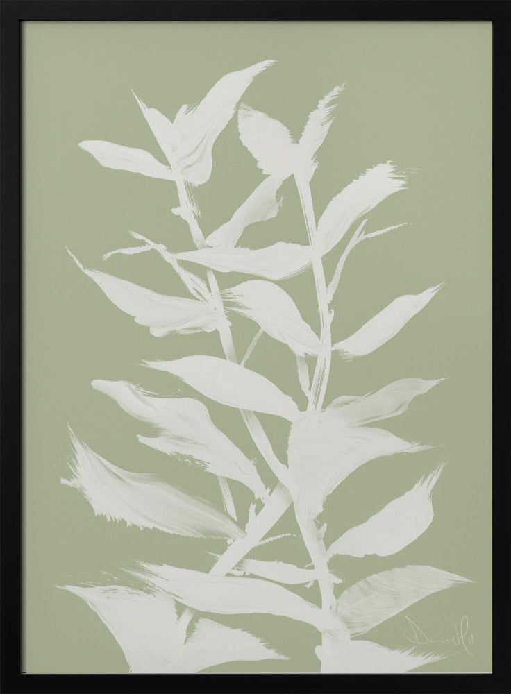 Botan | Poster