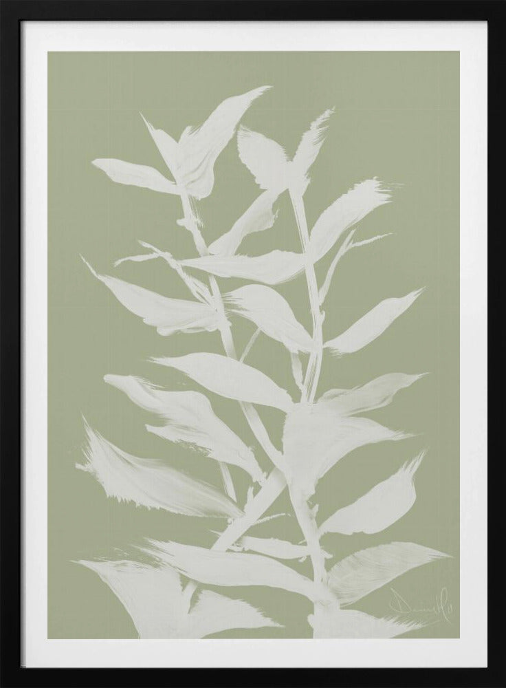 Botan | Poster