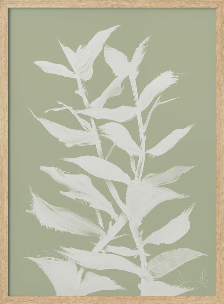Botan | Poster
