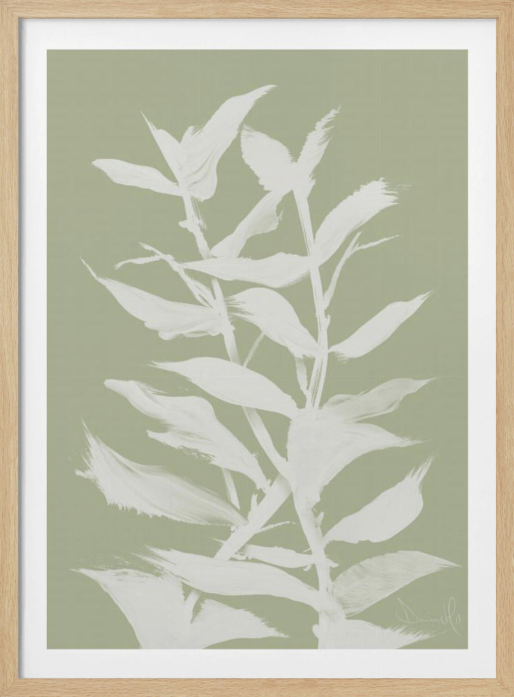 Botan | Poster