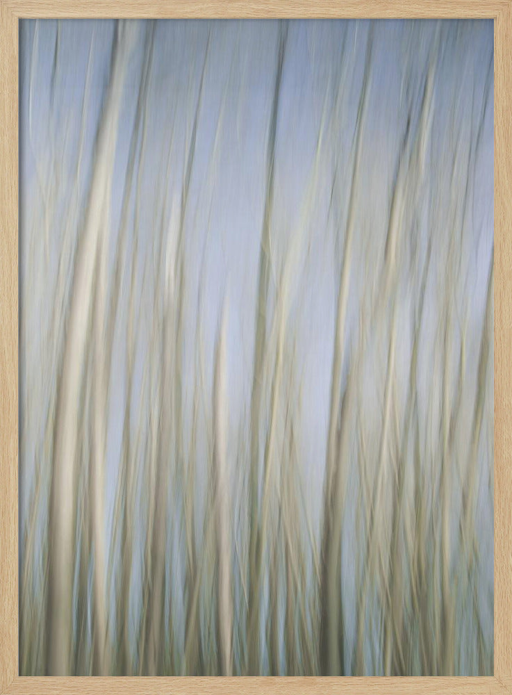 Flüsternde Bäume | Poster