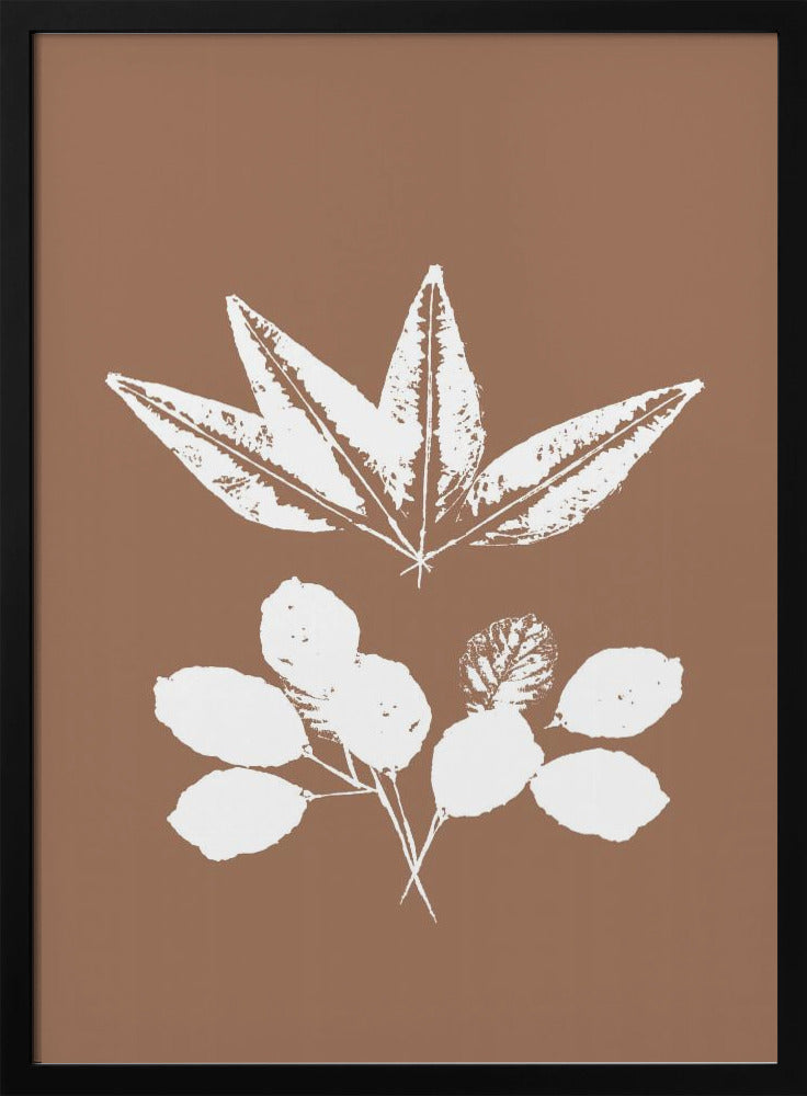 Botanische Silhouetten | Poster