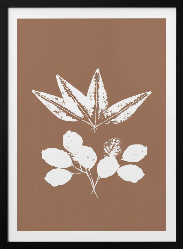 Botanische Silhouetten | Poster