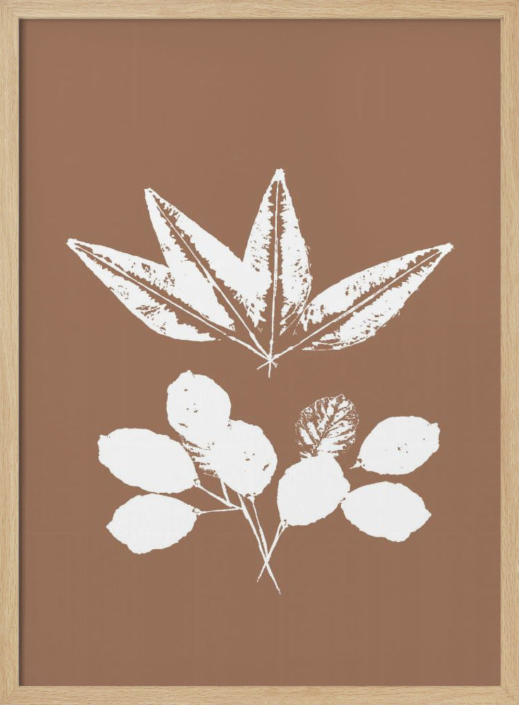 Botanische Silhouetten | Poster