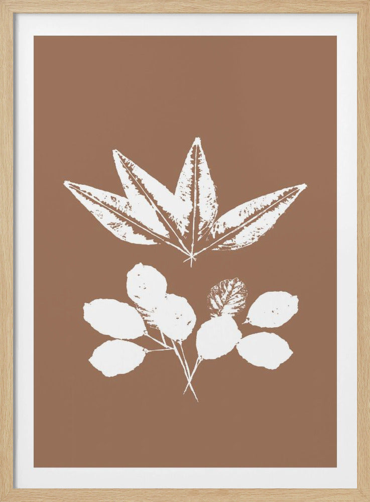 Botanische Silhouetten | Poster
