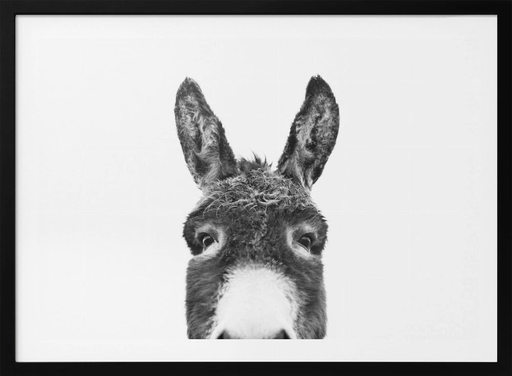 Guckender Esel SW | Poster