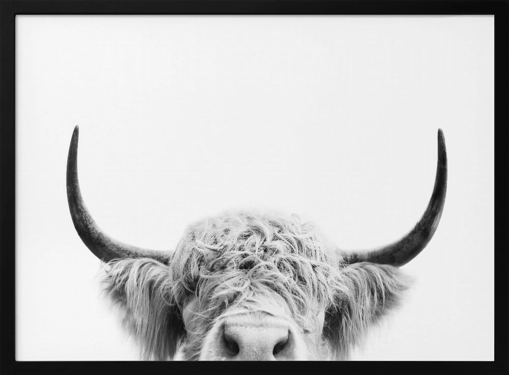 Spähende Kuh BW | Poster