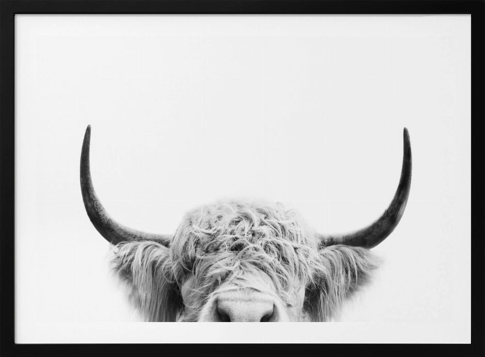 Spähende Kuh BW | Poster
